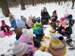 Udział klas 1b i 1c w PROJEKCIE DZIECI LASU 